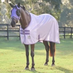 SmartPak Classic Fly Sheet - Clearance! -Equestrian Equipment Store 101a bbg 33019 21106 darkirisprint 0828