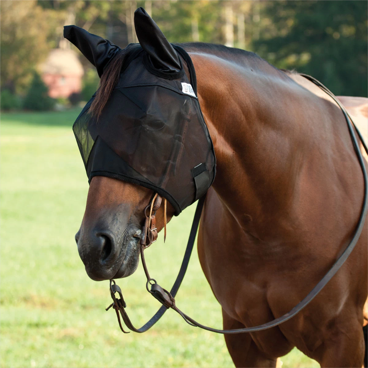 Cashel Quiet Ride™ Fly Mask W/ Ears 2 Cashel Quiet Ride™ Fly Mask W/ Ears - Image 2