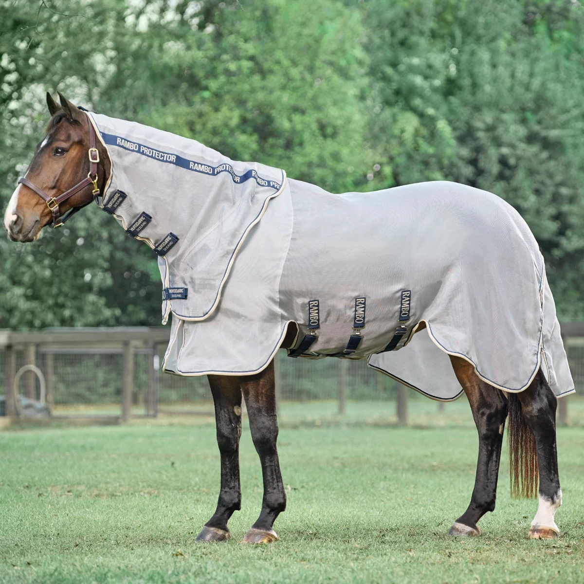 Horseware Ireland Rambo® Protector 7 Horseware Ireland Rambo® Protector - Image 7