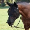 Crusader Fly Mask - Quiet Ride - Long With Ears