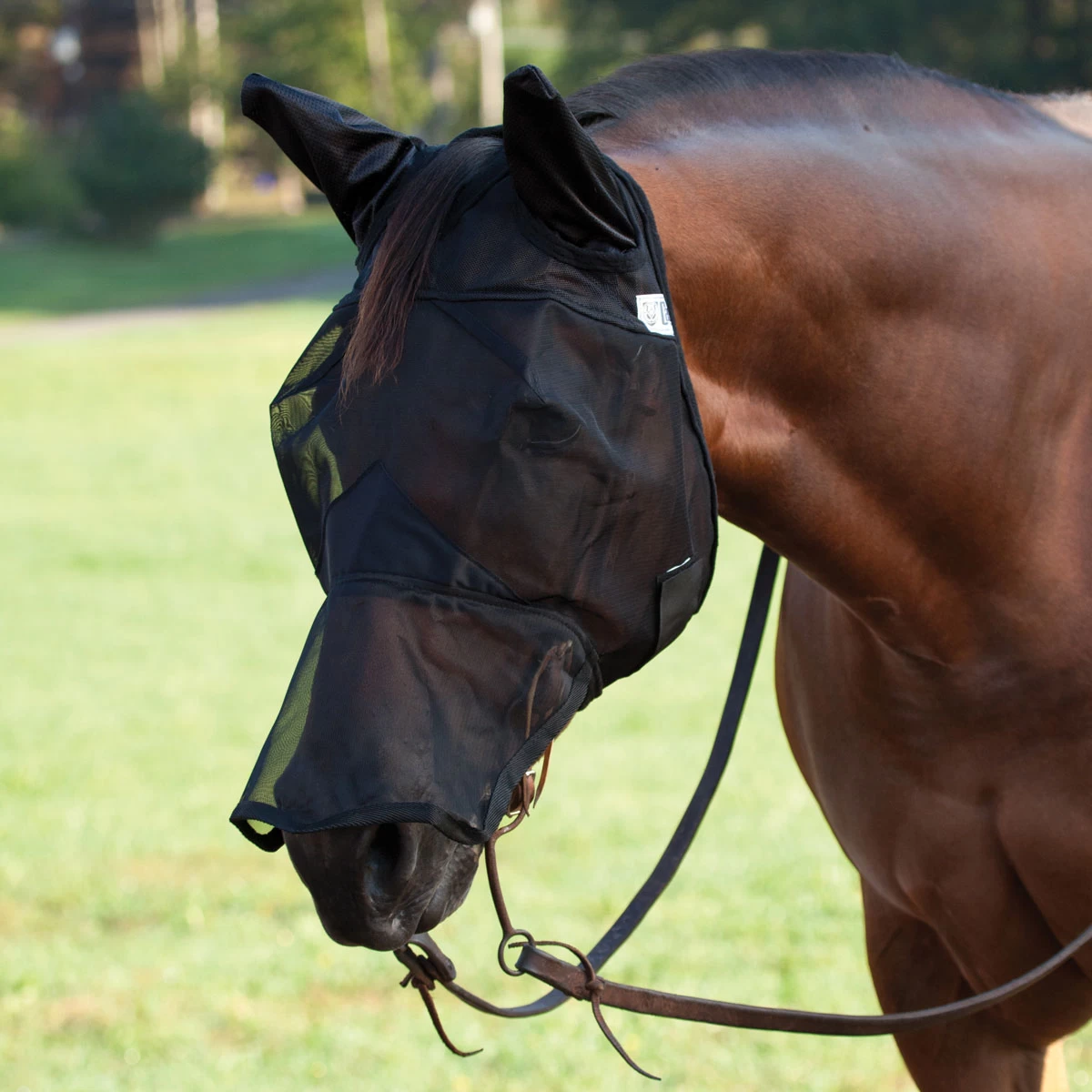 Crusader Fly Mask - Quiet Ride - Long With Ears 1 Crusader Fly Mask - Quiet Ride - Long With Ears