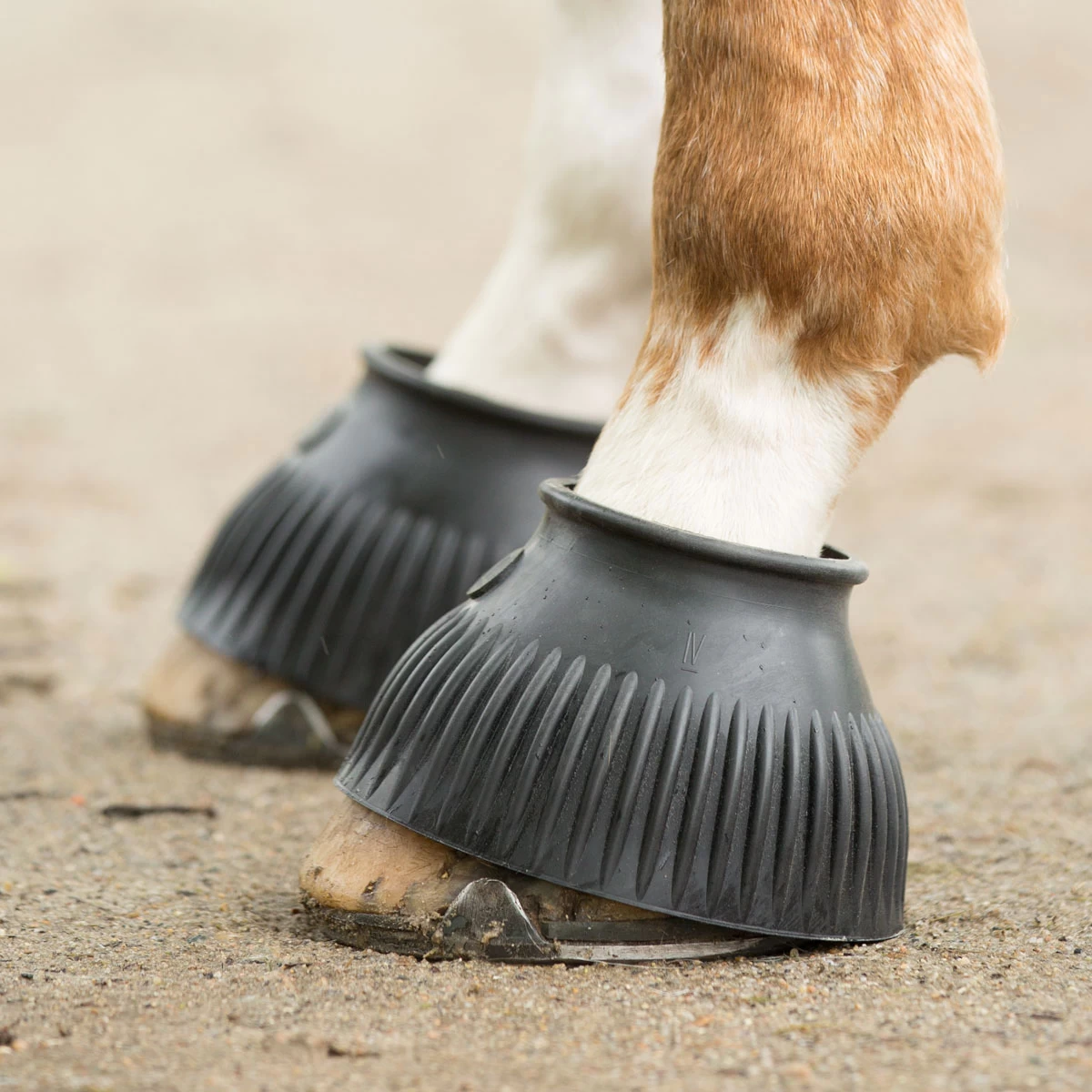 KL Select Italian Bell Boots 2 KL Select Italian Bell Boots - Image 2