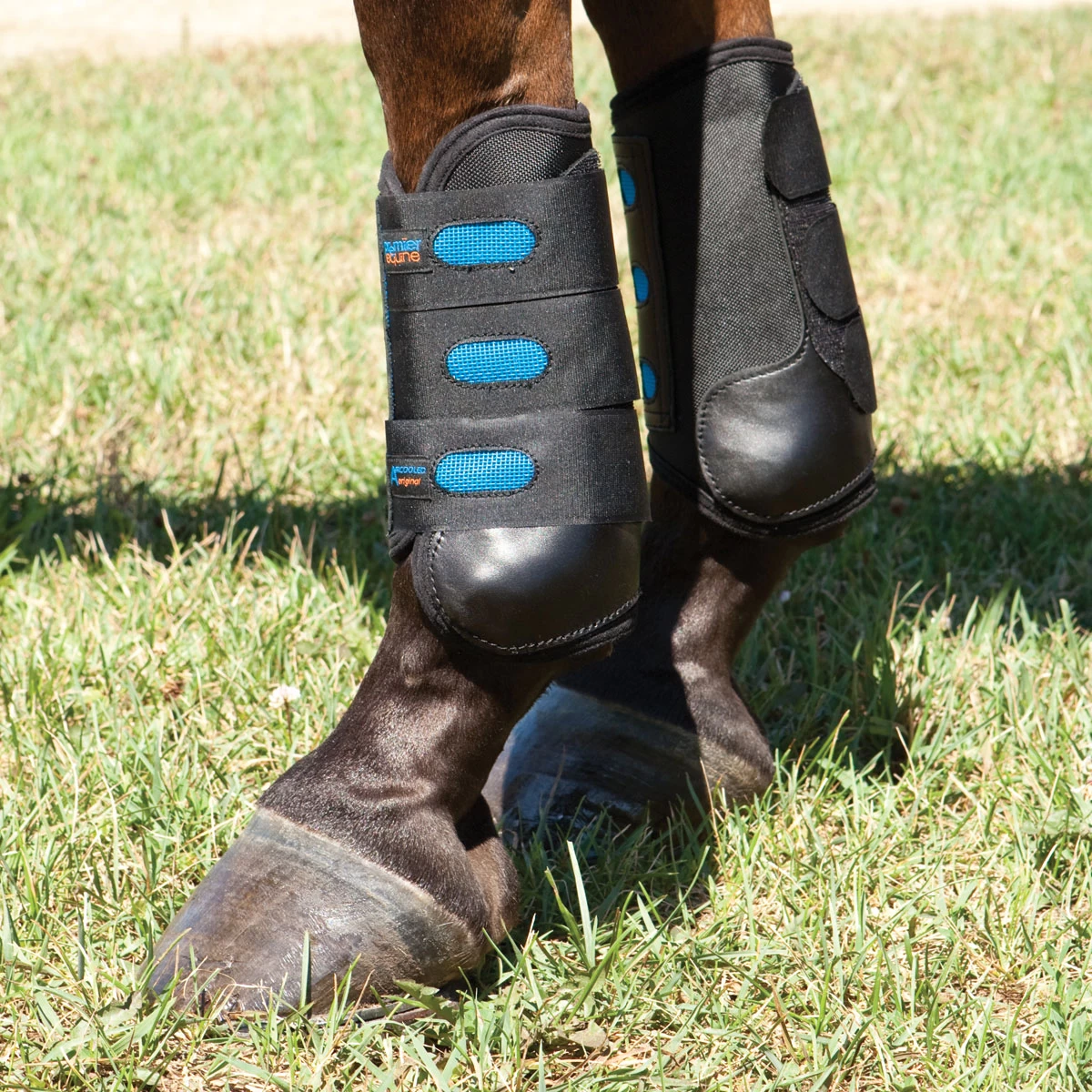 Premier Equine Air Cooled Boots 4 Premier Equine Air Cooled Boots - Image 4