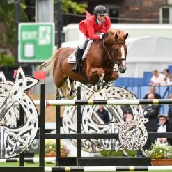 Charles Owen AYR8 Plus Leather Look Helmet -Equestrian Equipment Store 19716 lifestyle 1