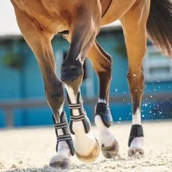 SmartPak Deluxe Ankle Boots 9 SmartPak Deluxe Ankle Boots -Equestrian Equipment Store 21a nfs 35013 35014 19504 26971 26302 blackwhiteeucalyptus print 3596 1