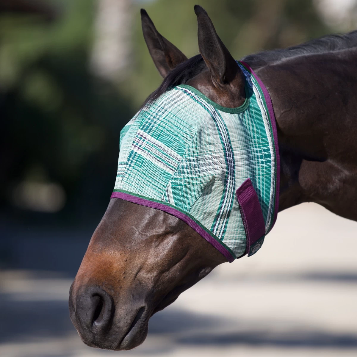 Kensington Fly Mask Without Ears 6 Kensington Fly Mask Without Ears - Image 6