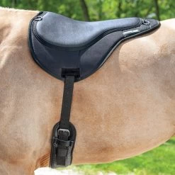 ThinLine Bareback Pad 13 ThinLine Bareback Pad -Equestrian Equipment Store 24383 onhorse 9247