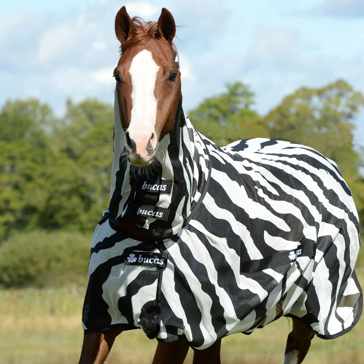 Bucas Buzz Off Combo Neck Zebra Fly Sheet 1 Bucas Buzz Off Combo Neck Zebra Fly Sheet