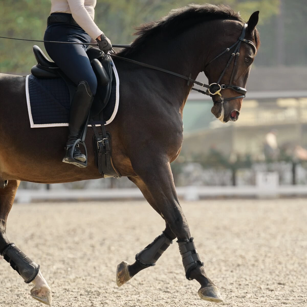 SmartPak Deluxe Fleece Lined Sport Boots 5 SmartPak Deluxe Fleece Lined Sport Boots - Image 5