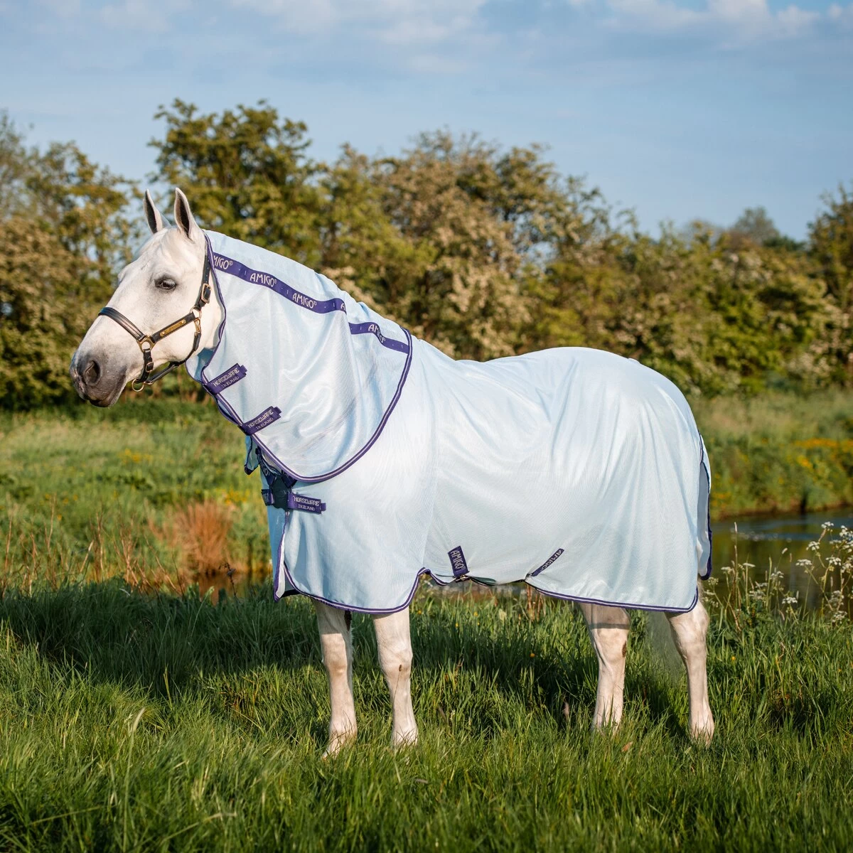 Horseware Ireland Amigo® XL Bug Rug Fly Sheet 2 Horseware Ireland Amigo® XL Bug Rug Fly Sheet - Image 2