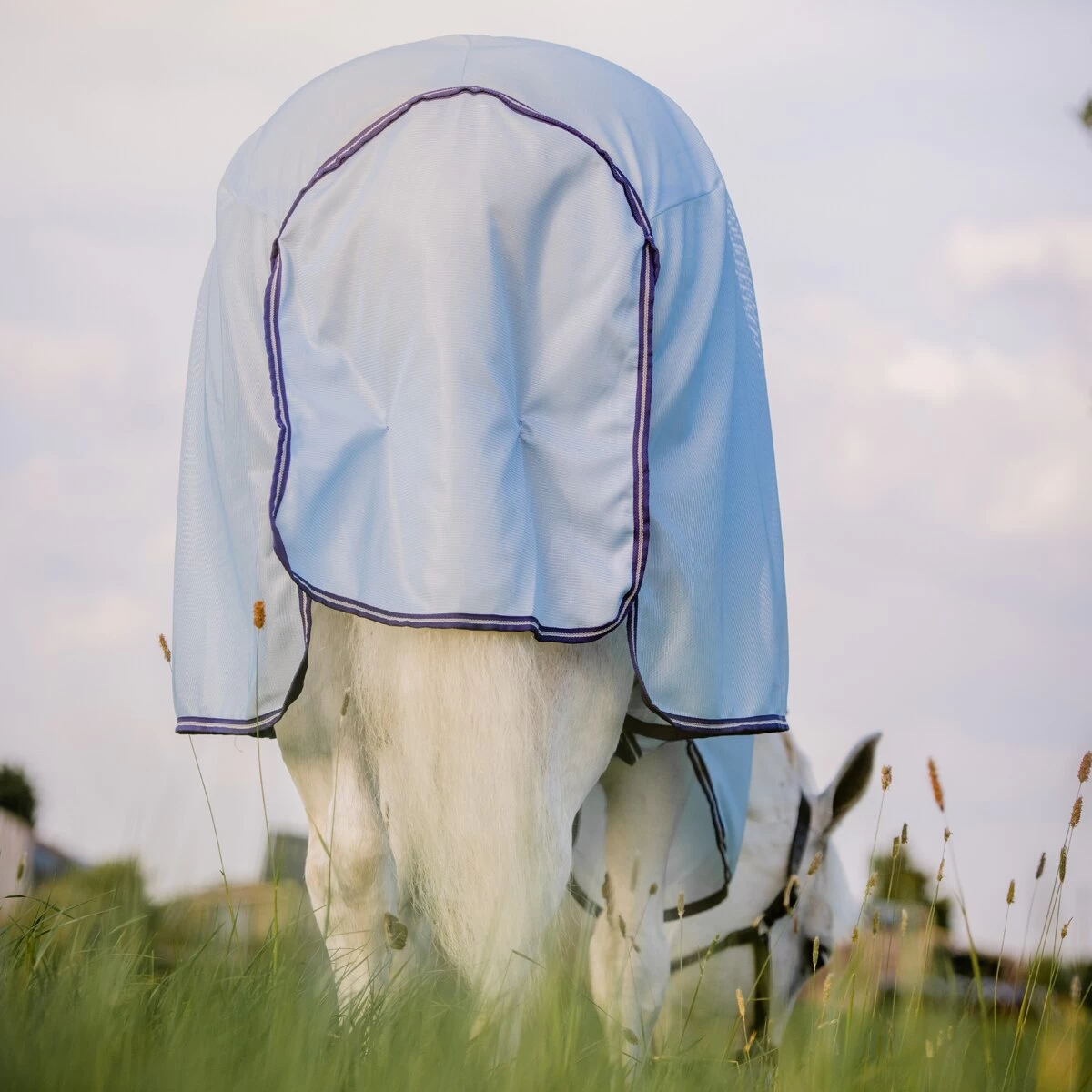 Horseware Ireland Amigo® XL Bug Rug Fly Sheet 4 Horseware Ireland Amigo® XL Bug Rug Fly Sheet - Image 4