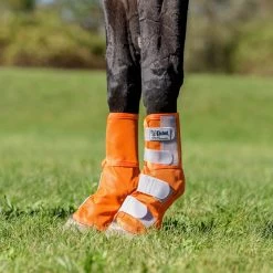 Cashel Fly Leg Guards -Equestrian Equipment Store 26644 orange