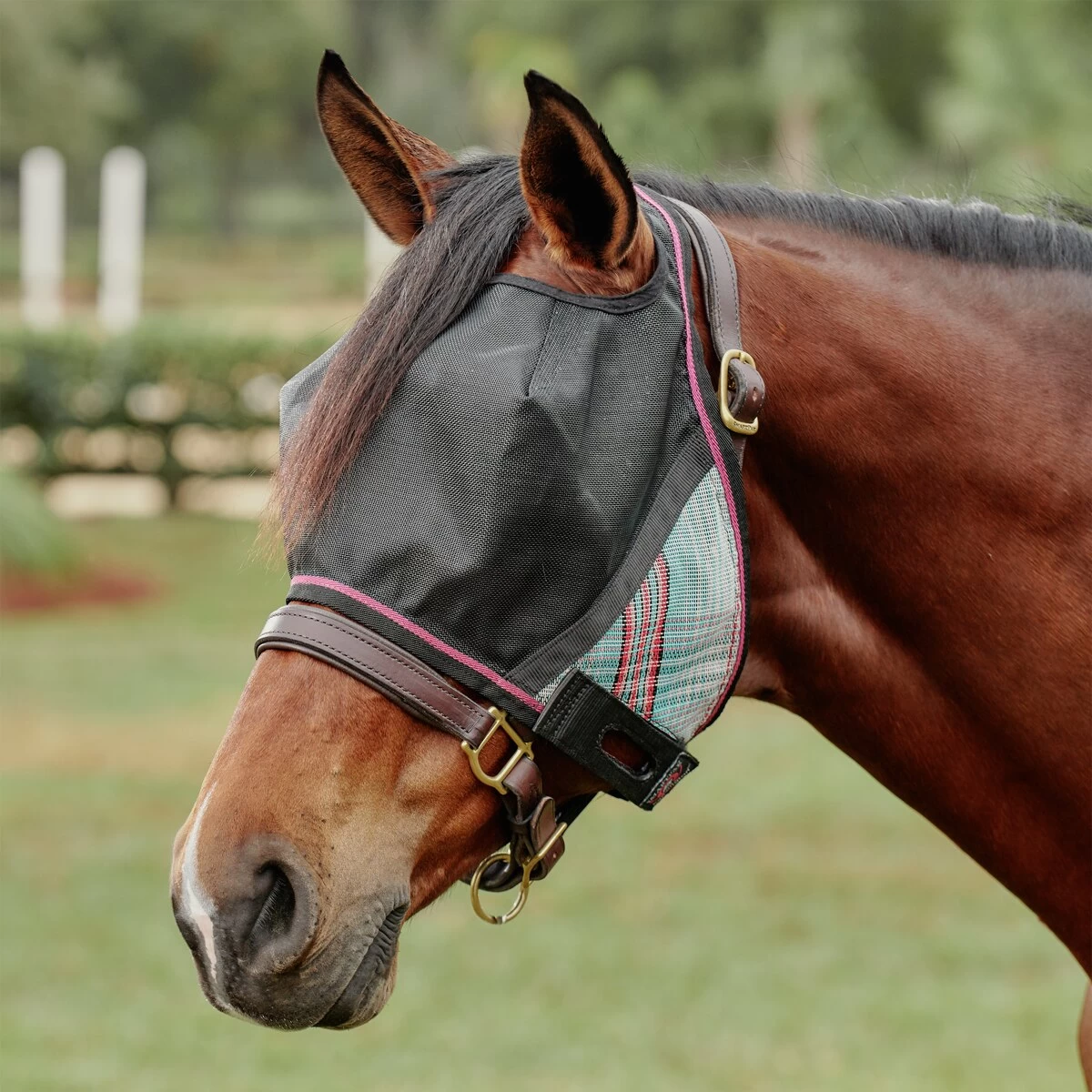 Kensington Uviator CatchMask Made Exclusively For SmartPak 2 Kensington Uviator CatchMask Made Exclusively For SmartPak - Image 2