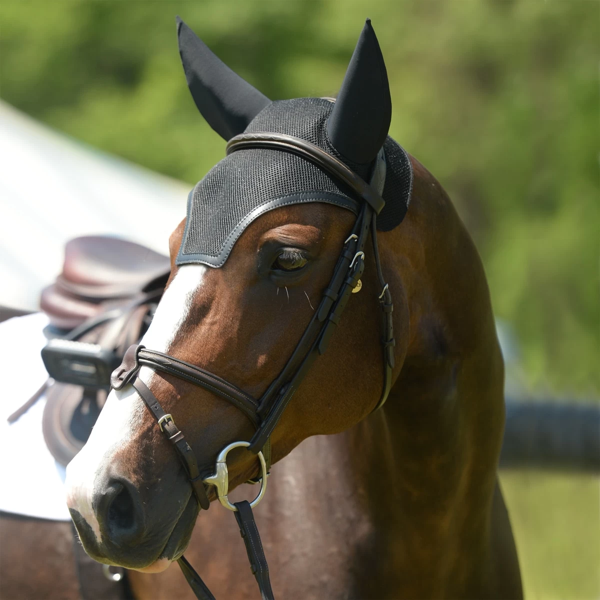 EquiFit SilentFit Ear Bonnet 2 EquiFit SilentFit Ear Bonnet - Image 2