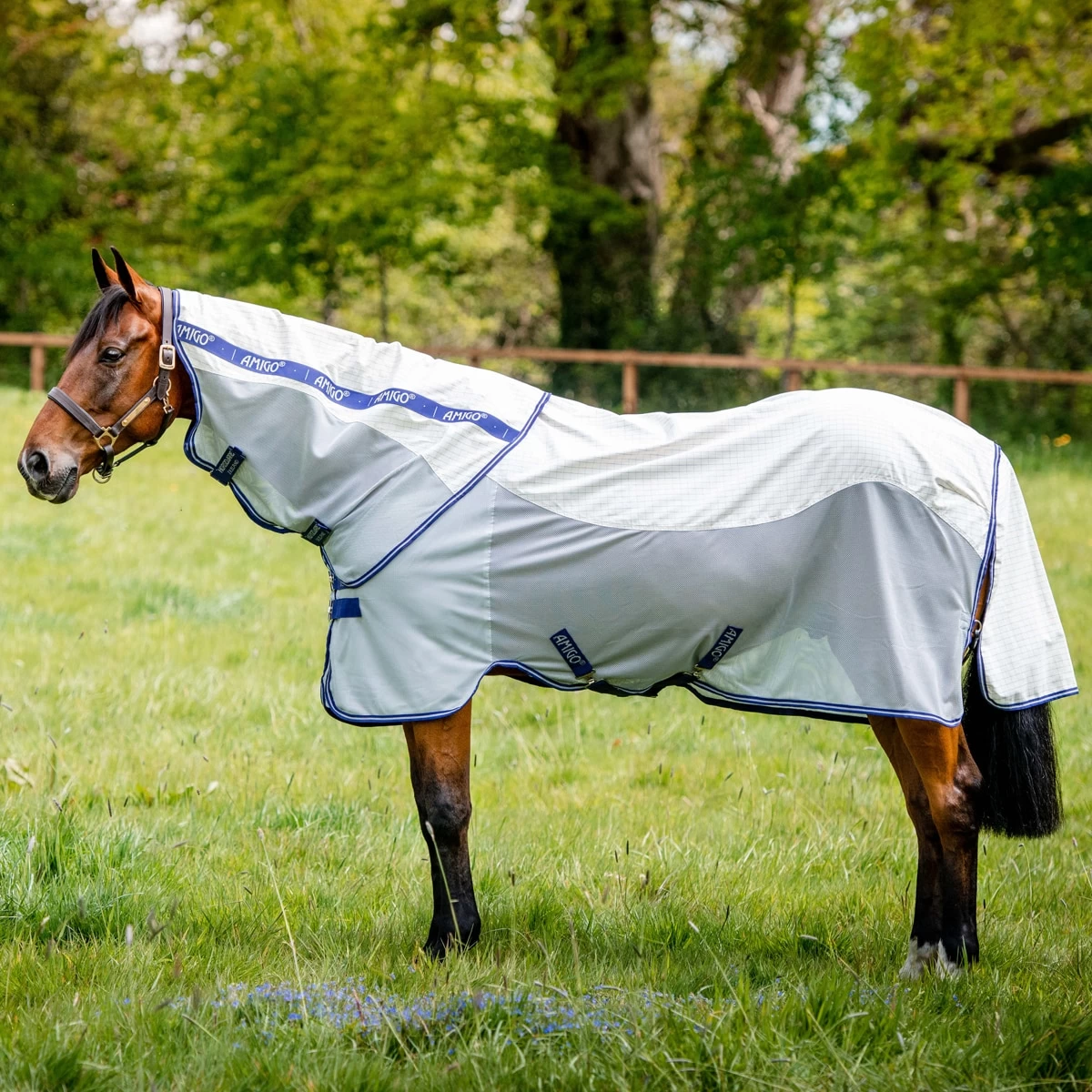 Horseware Ireland Amigo® AirFlow 3 Horseware Ireland Amigo® AirFlow - Image 3