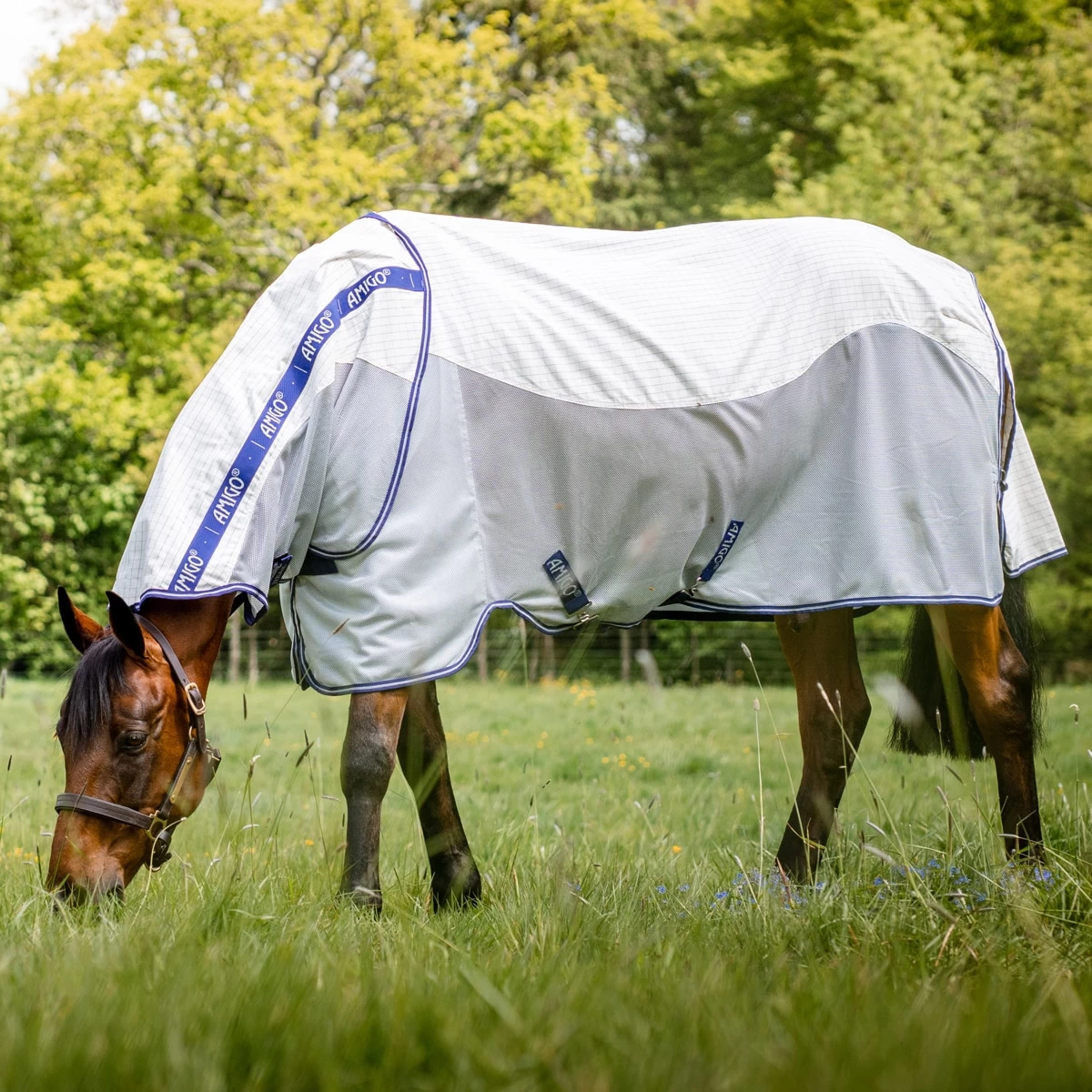 Horseware Ireland Amigo® AirFlow 4 Horseware Ireland Amigo® AirFlow - Image 4