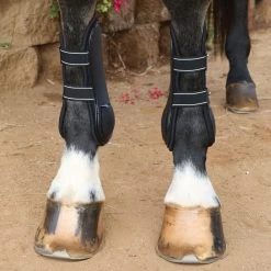 Professional's Choice Pro Performance Open Front Boots -Equestrian Equipment Store 32866 black 1