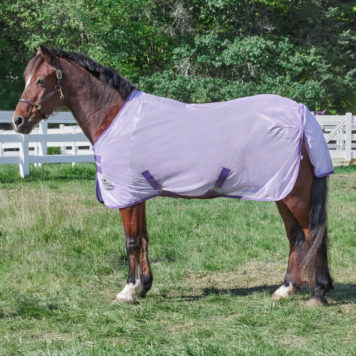 SmartPak Classic Pony Fly Sheet - Clearance! 2 SmartPak Classic Pony Fly Sheet - Clearance! - Image 2