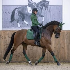 LeMieux Loire Classic Dressage Square Saddle Pad -Equestrian Equipment Store 33262 hunter lifestyle 1