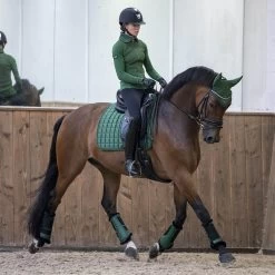 LeMieux Loire Classic Dressage Square Saddle Pad -Equestrian Equipment Store 33262 hunter lifestyle 3