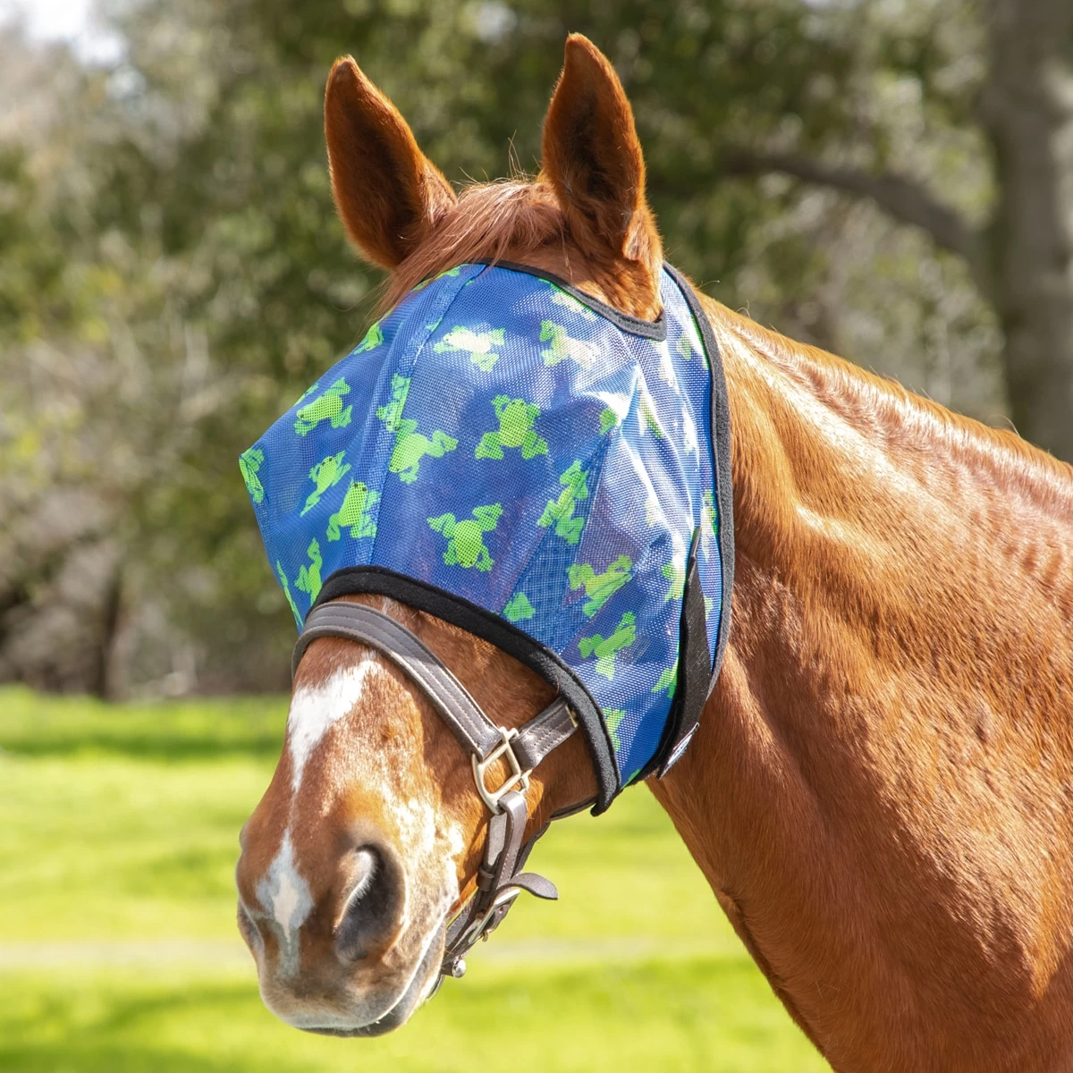 Mackey Mesh Fly Mask 1 Mackey Mesh Fly Mask