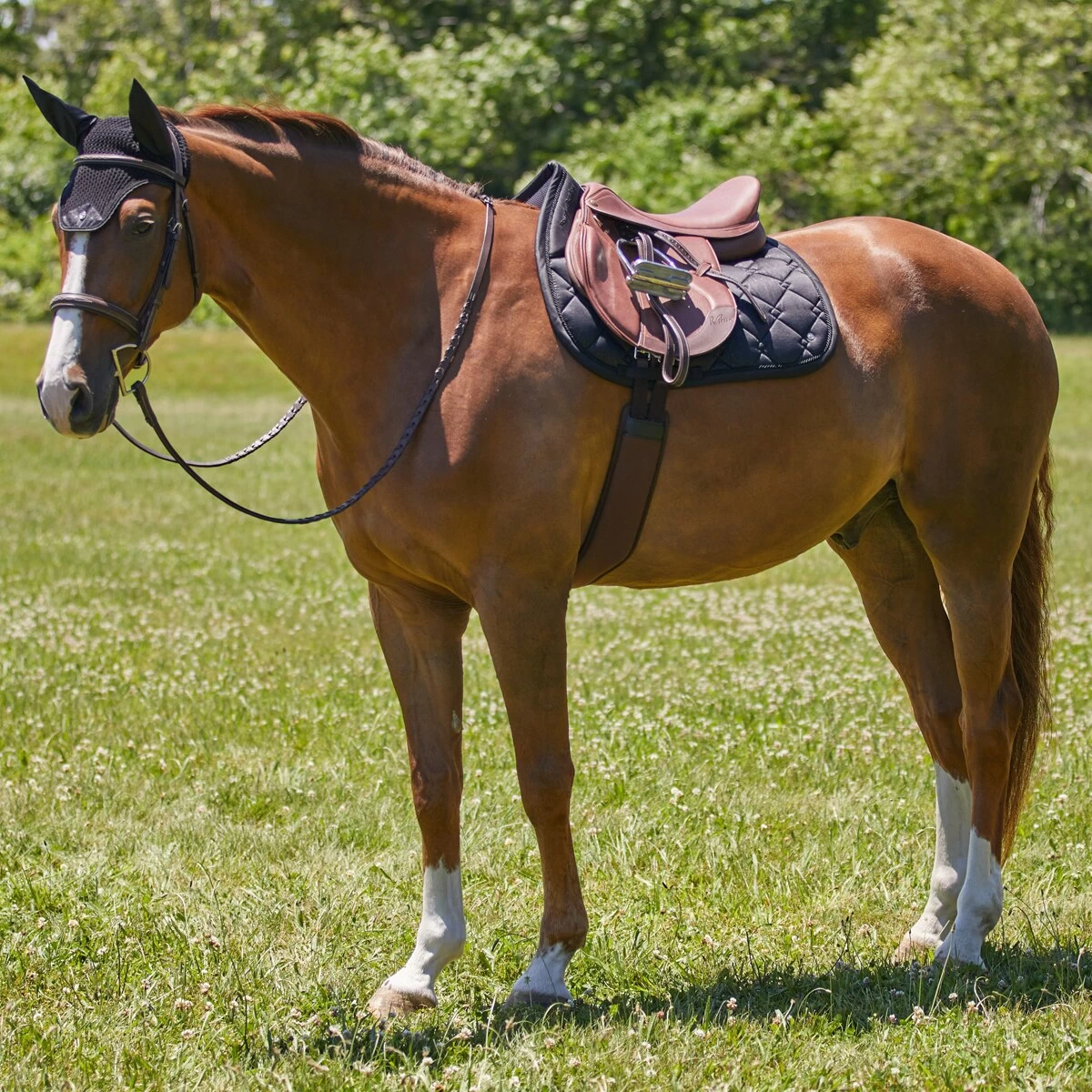 SmartPak Luxe Collection AP Saddle Pad - Embossed - Clearance! 9 SmartPak Luxe Collection AP Saddle Pad - Embossed - Clearance! - Image 9