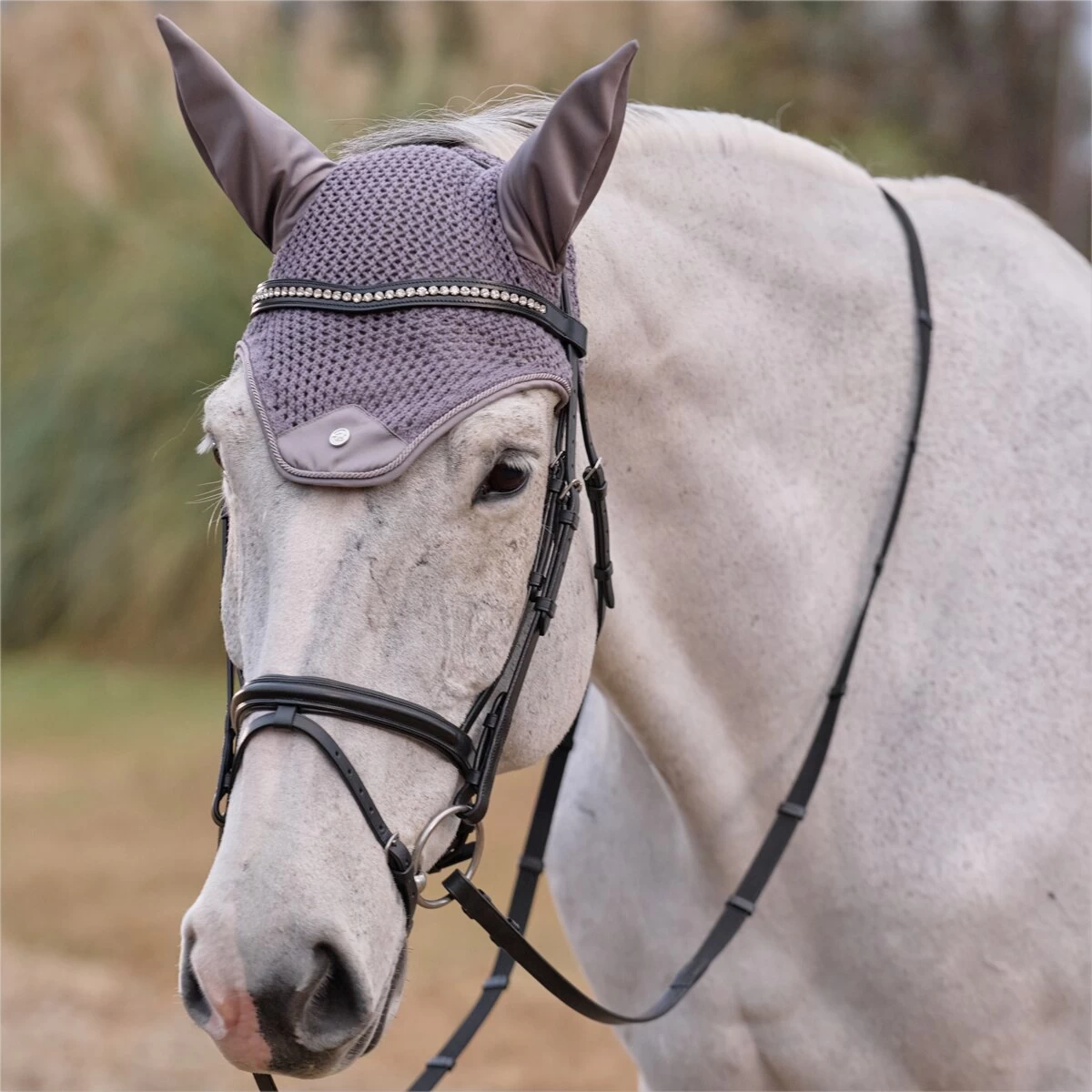 SmartPak Luxe Rider Reminders Ear Bonnet - Left/Right 2 SmartPak Luxe Rider Reminders Ear Bonnet - Left/Right - Image 2