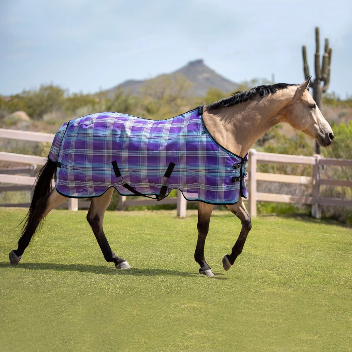 Kensington SureFit® Protective Pony Fly Sheet 2 Kensington SureFit® Protective Pony Fly Sheet - Image 2