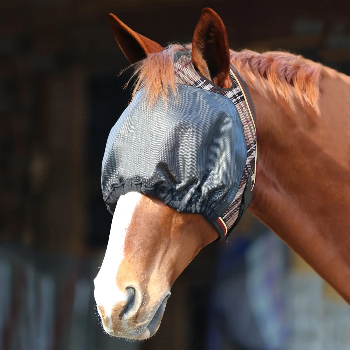 Kensington Uviator Fly Mask 2 Kensington Uviator Fly Mask - Image 2