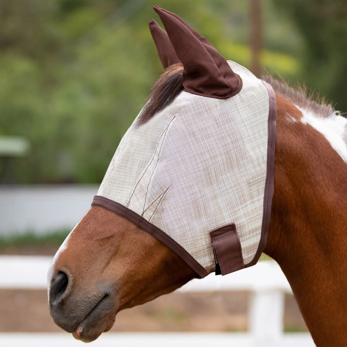 Kensington Fly Mask With Ears And Forelock Hole 2 Kensington Fly Mask With Ears And Forelock Hole - Image 2