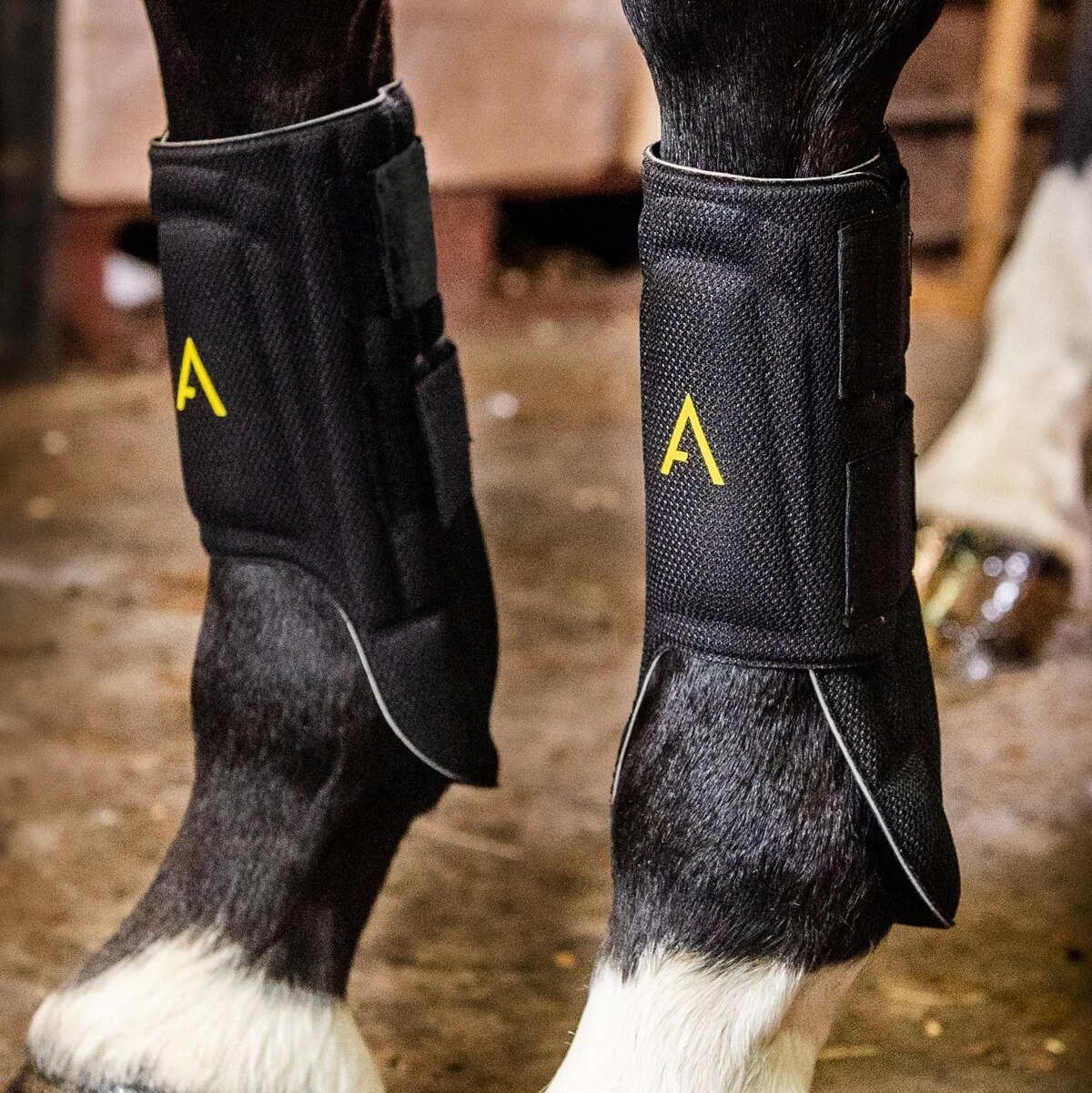 Horseware Ireland Horseware Adagio Boots 3 Horseware Ireland Horseware Adagio Boots - Image 3