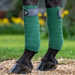 LeMieux Polo Bandages 12 LeMieux Polo Bandages -Equestrian Equipment Store 34286 hunter green 2