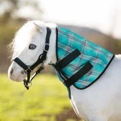 Kensington Mini Protective Neck Cover