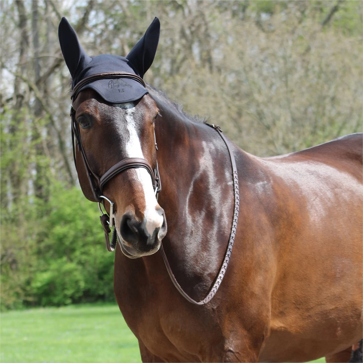 Fenwick Equestrian Liquid Titanium Ear Bonnet 1 Fenwick Equestrian Liquid Titanium Ear Bonnet