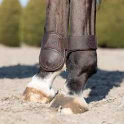 LeMieux Capella Leather Fetlock Boots 8 LeMieux Capella Leather Fetlock Boots -Equestrian Equipment Store 34750 brown 3