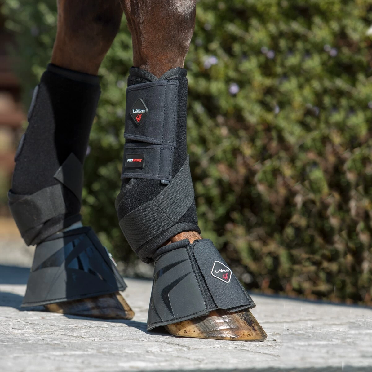 LeMieux Ultra Support Boots 3 LeMieux Ultra Support Boots - Image 3