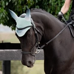 Weatherbeeta Prime Ombre Ear Bonnet 9 Weatherbeeta Prime Ombre Ear Bonnet -Equestrian Equipment Store 35165 ombre green 1