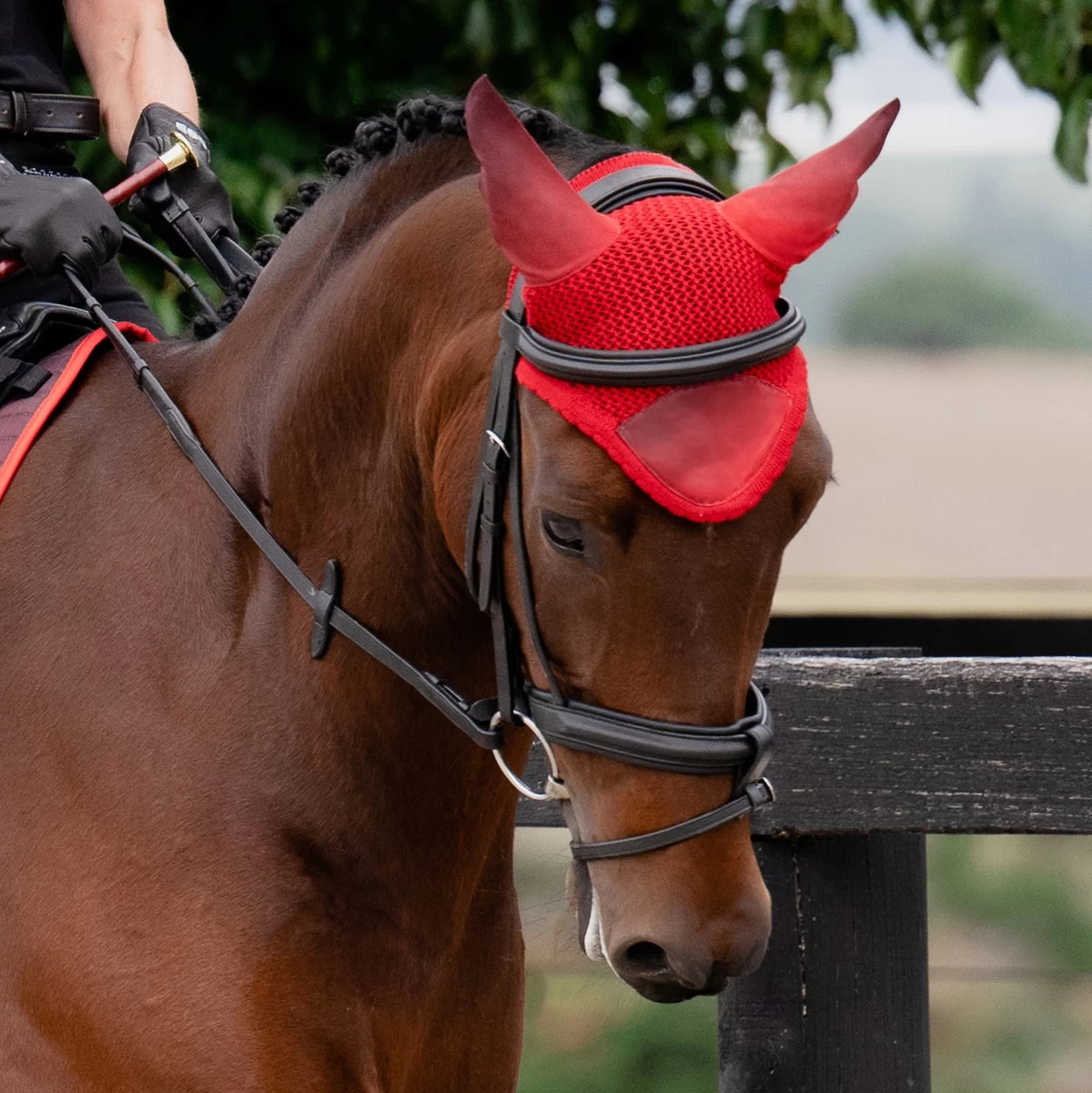 Weatherbeeta Prime Ombre Ear Bonnet 2 Weatherbeeta Prime Ombre Ear Bonnet - Image 2