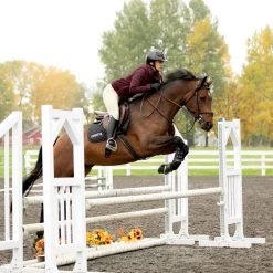 Kerrits Arena Training Knee Patch Breech -Equestrian Equipment Store 35587 tan 2