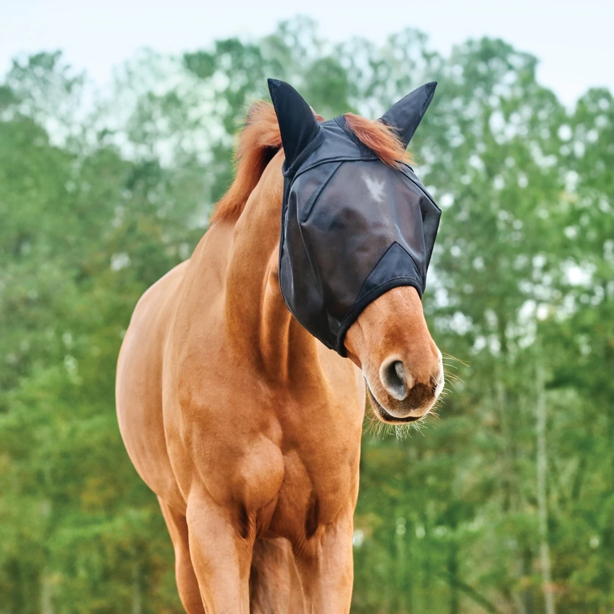 SmartPak Fine Mesh Fly Mask 2 SmartPak Fine Mesh Fly Mask - Image 2